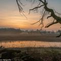 zonsopkomst Aaltenseweg